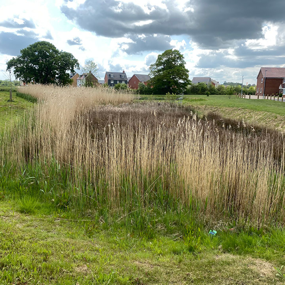 Residential & Commercial Developments